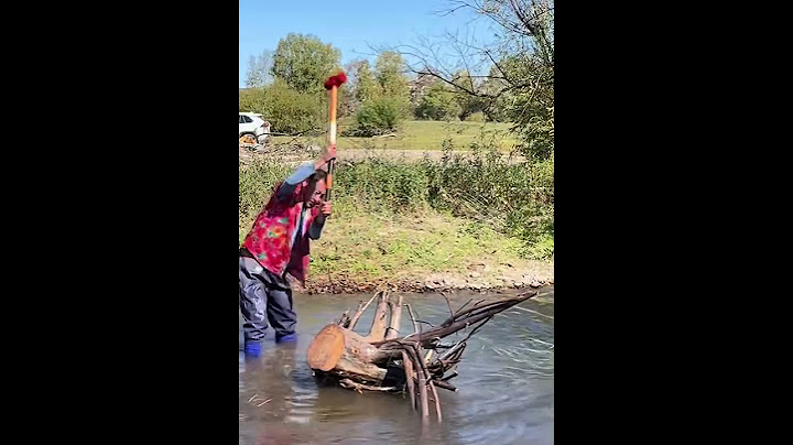 【搞笑漁民真實生活】日出日落，勤勤恳恳！#fishing  #shorts