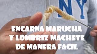 Encarne De Lombriz Y Marucha