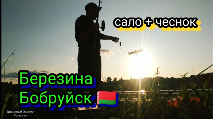 Рыбалка на Березине Бобруйск 🇧🇾 и снова район очистных