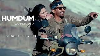 Humdum (Slowed + Reverb) | Vishal Mishra | Savi | Human Edits