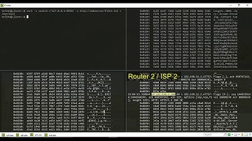 Using Tcpdump on the Tor network