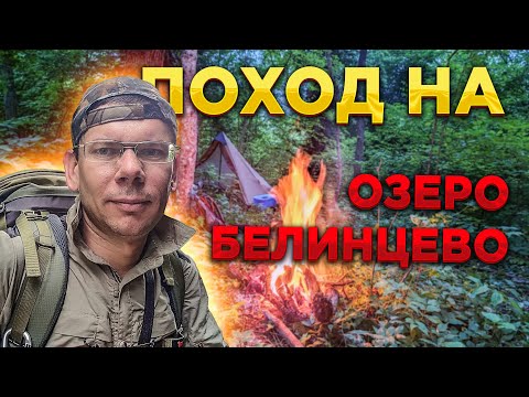 🐾 Bear tracks again! WILD Belintsevo swamp. A night in the tent