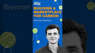 The Future Of Carbon Removal