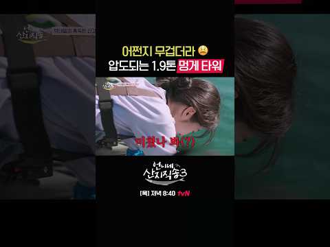 보자마자 압도되는 통영 멍게 타워🫢 #언니네산지직송3 EP.1