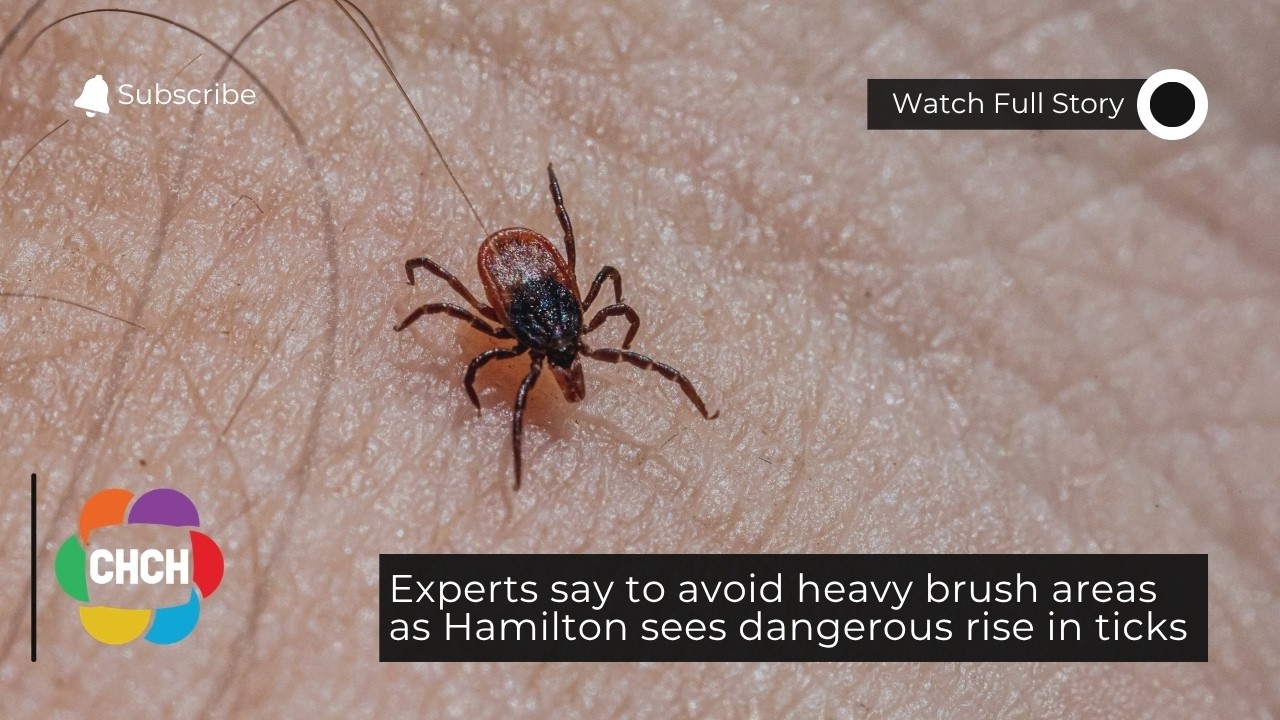 Tick Prevention and Lyme Disease Awareness