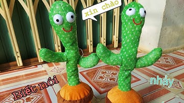 Review cây xương rồng nhảy múa , nhại giọng vui nhộn  | dancing cactus | Thanh Tâm Vlog
