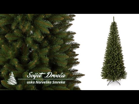 Video: Koja je vrsta drveta norveška smreka?