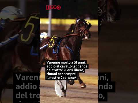 Video Varenne morto a 31 anni, addio al cavallo leggenda del trotto: «Rimani il nostro Capitano»