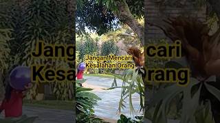 Jangan Mencari Kesalahan Orang