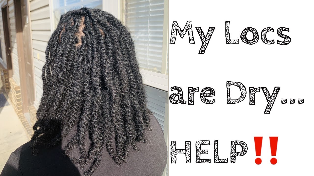 Suffering From Dry Locs How Do I Keep My Locs Moisturized?? YouTube