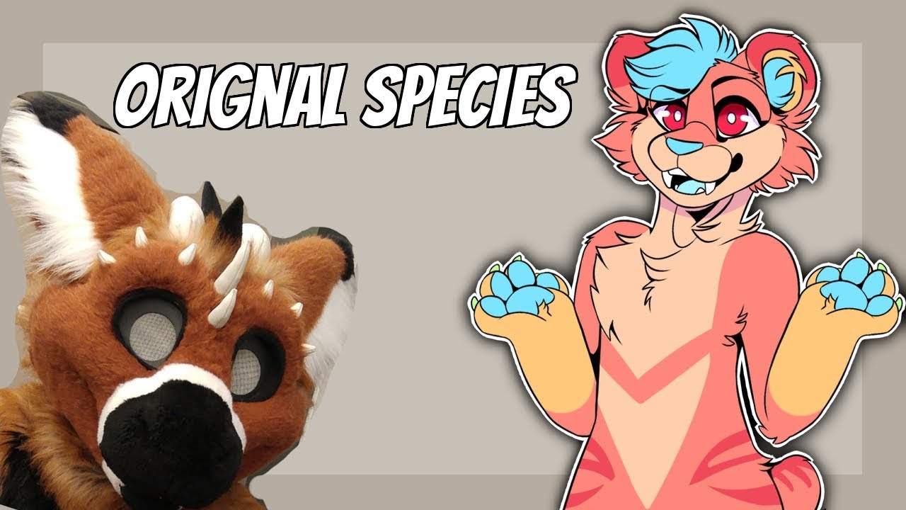 Original Species In The Furry Fandom YouTube original-species-in-the-furry-fandom-youtube