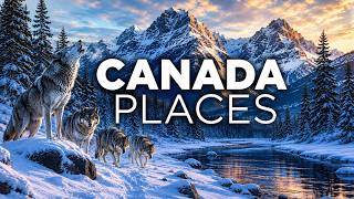 Best Places to Visit in Canada to see Wolves Hunt Their Prey | Travel Video