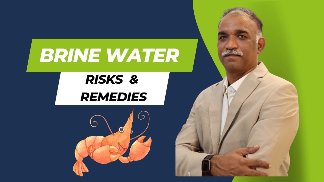 Risks and Remedies of Using Brine Water in Shrimp Nurseries YouTube