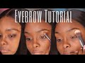 Detailed Eyebrow Tutorial | Step By Step Guide to PERFECT Eyebrows | Beginner Friendly
