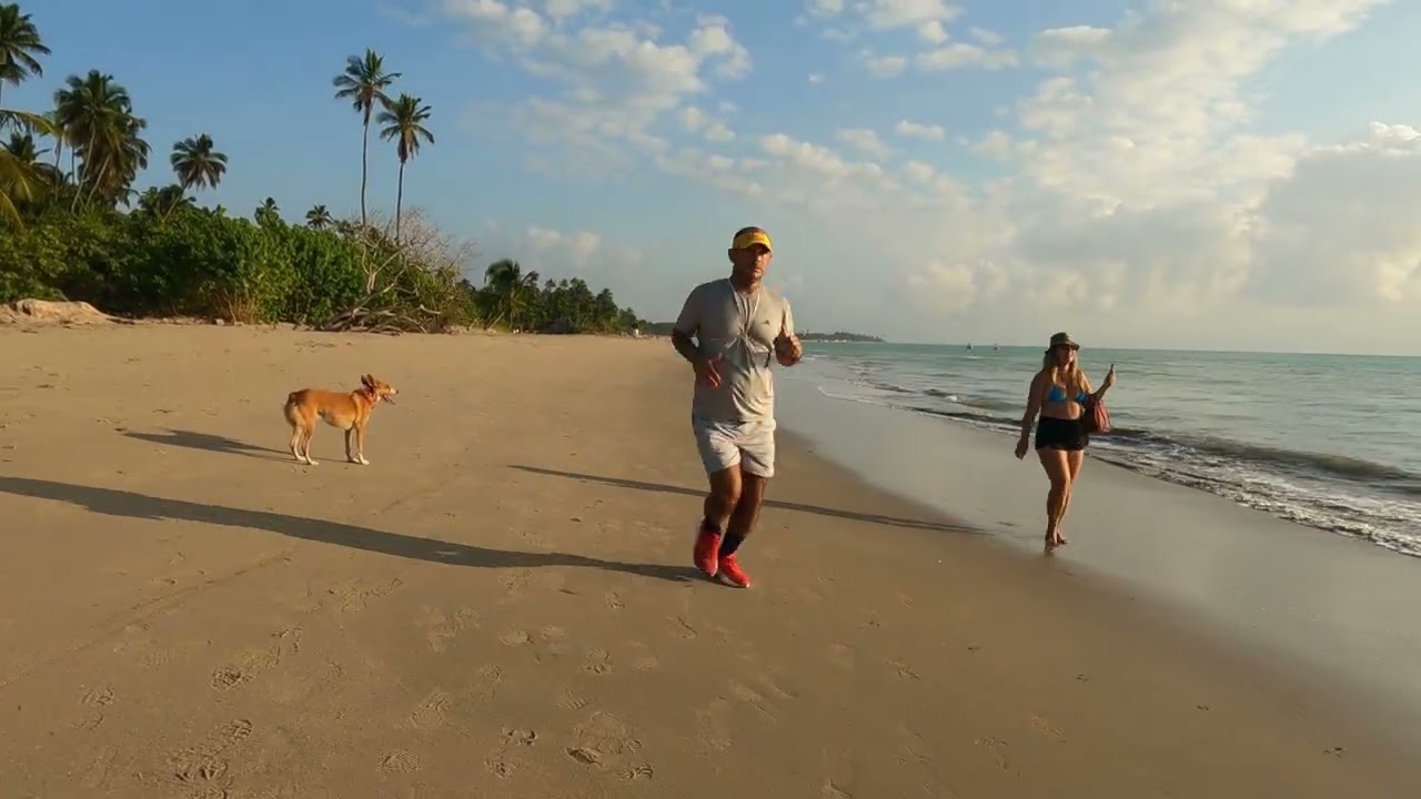 Passeio com Mel pela praia de Peroba, Maragogi, Al