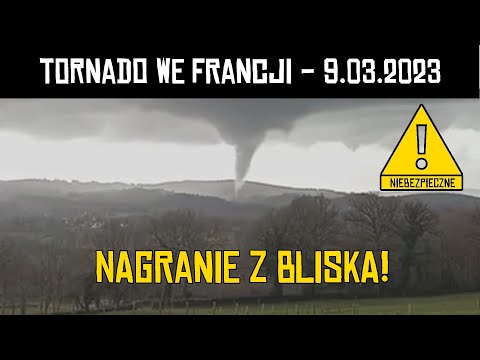 Wideo: Kto znał radość zwycięstw w bitwach?