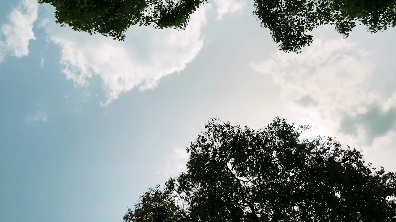 フリー動画素材 空 癒し 自然 音楽 ヒーリングミュージック Free Video Material Sky Healing Nature Music Healing Music Youtube フリー動画素材 空 癒し 自然 音楽 ヒーリングミュージック Free Video Material Sky Healing Nature Music Healing Music Youtube