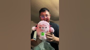 #Squishmail #squishmallows #squishtok #squishmallow #squishmallowunboxing #unboxing