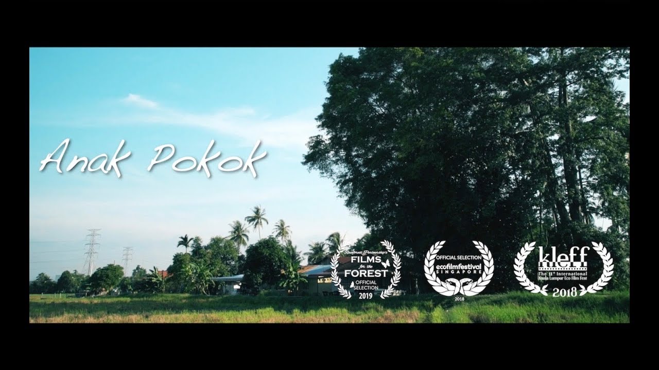 Anak Pokok (2018)