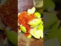 Quick &amp; Tasty Recipes  #food #lifestyleofrich #billionairefood #finediningrecipes #cooking #yummy