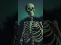 ☠️☠️1, Mop