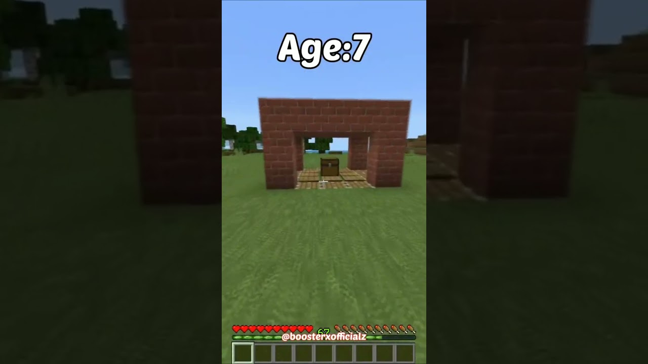 Ловушки из Майнкрафт в разном возрасте 