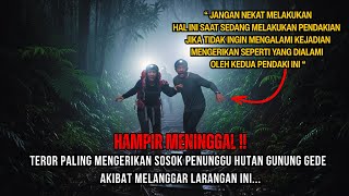 JALUR AREA TERLARANG PALING ANGKER DI GUNUNG GEDE: Hampir Meninggal Akibat Melanggar Larangan Ini.