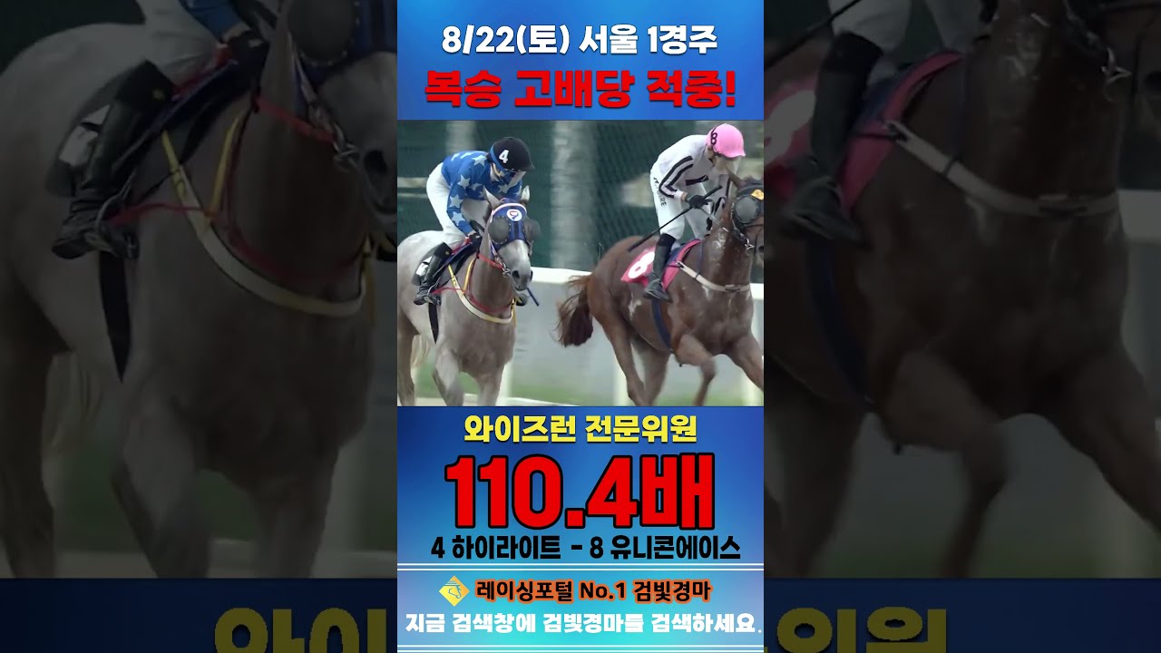 [서울 경마] 8월 22일 토요 1경주 와이즈런 전문위원 복승 고배당 적중 #경마 #horse #한국마사회 #automobile #하이라이트 #riding#뉴스#게임 #korean