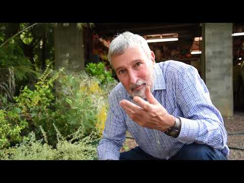 Evolution in Your Own Backyard. Burke's Backyard Science