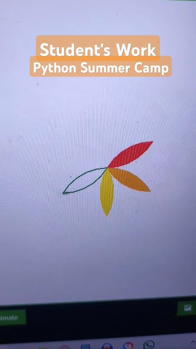 Colourful Flower with Turtle our Python Summer Camp 🐢#pythonsummercamp ...