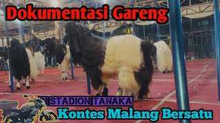 Dokumentasi Gareng di stadion Tanaka Kontes Malang 5 Mei 2024