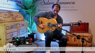 Francisco Barba 2023 flamenco guitar for sale played by José Andrés Cortés
