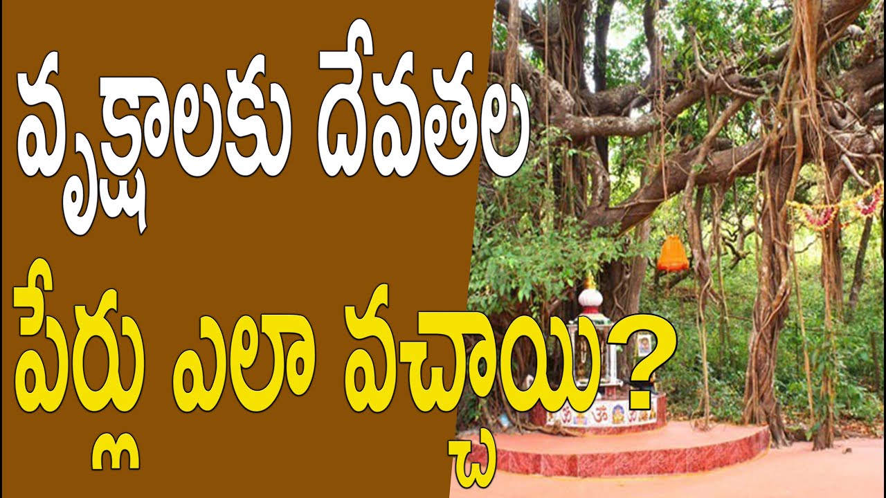 THE GODDESS TREES | NAVAKANTH  | PMC TELUGU || Dr.GBK RAO|  PRAGATHI RESORTS