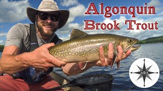 Algonquin Park Brook Trout Fishing | 3 Day Solo Canoe Trip