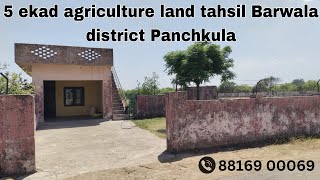 5acre agriculture land tahsil Barwala district Panchkula Call now 88169 00069 for more details