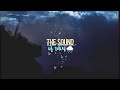Rain Cinematic Film in just 64 Seconds | NATURE | COPYRIGHT FREE MUSIC 🎶 ☔ #rain