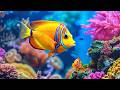 Relaxing 4K Aquarium 🐠 Colorful Coral Reef & Tropical Fish for Stress Relief and Deep Relaxation