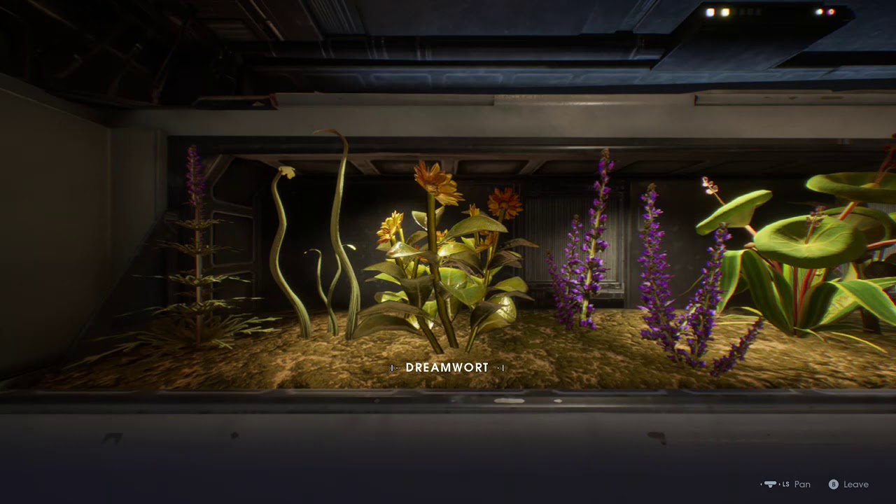 Full Terrarium v2 Star Wars Jedi Fallen Order YouTube