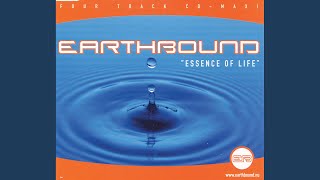 Essence Of Life (Radio Version)