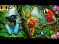 Animals of the Amazon 8K ASMR – Rare Creatures Hidden in the Jungle | Real Rainforest Sounds