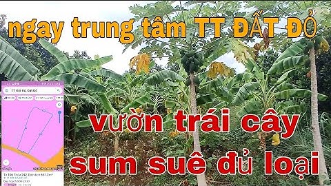 ANH HÙNG TIẾC ĐỨT RUỘT BÁN VƯỜN TRÁI CÂY NGAY TRUNG TÂM GẦN BIỂN PHƯỚC HẢI.GIÁ CHỈ 2TY450