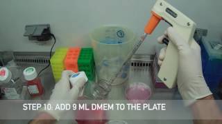 Splitting Cells