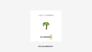 🌴 (Last Summer) - DJ Mambo