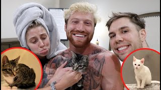 THEY SURPRISED ME WITH FOSTER KITTENS!!