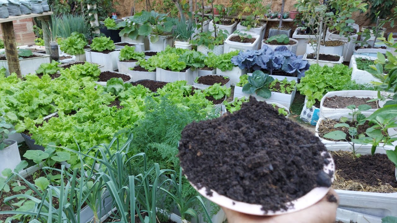 Como fazer substrato  com folhas secas