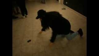 Girl Does 100 Push Ups