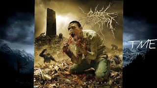 Download Lagu 07-Lifestalker-Cattle Decapitation-HQ-320k. MP3