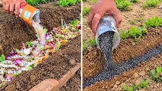Dead Soil? Fix It NOW! This Ancient Method Creates Microbe-Rich Soil in Days