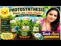 Photosynthesis Explained in Easier Way ! Plants Are Little Chefs - PART 1