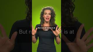 Propaganda in place of PBS. PragerU is not a university or even accurate. | Opinion